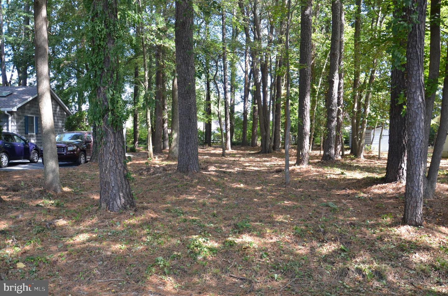 912 Calvert Ave. Property Photo 9
