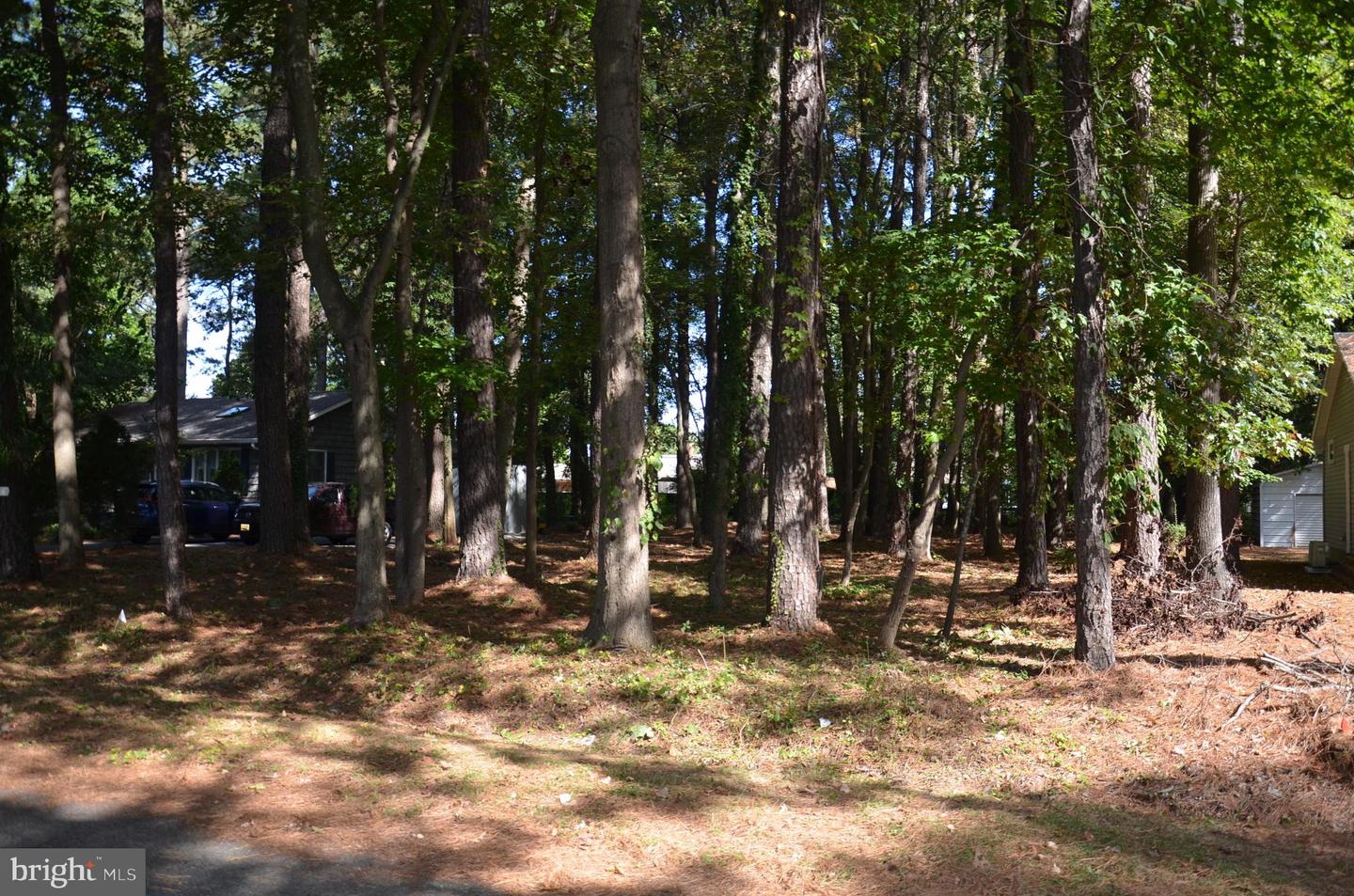 912 Calvert Ave. Property Photo 10