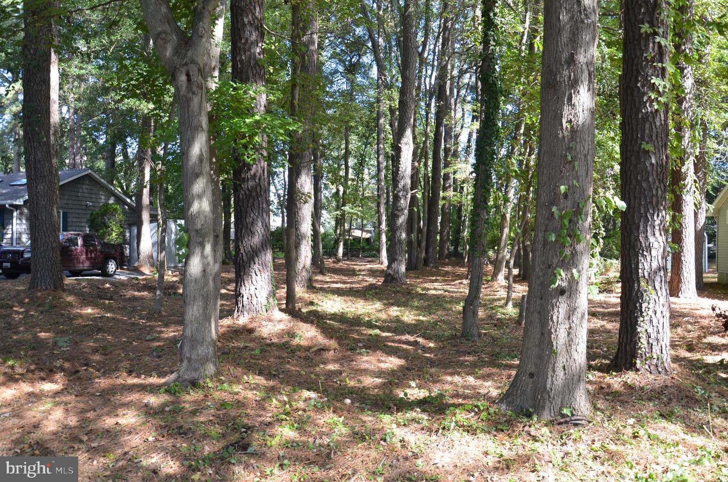 912 Calvert Ave. Property Photo 11