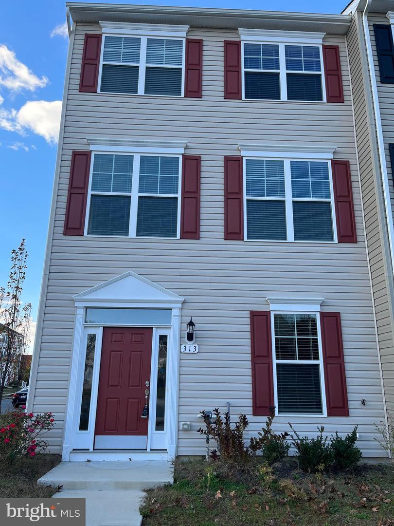 313 ASHBY COMMONS DR