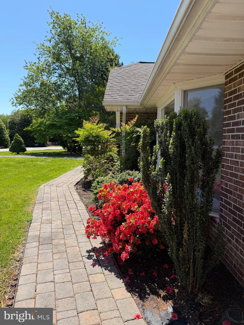24555 Deepwater Point Property Photo 6