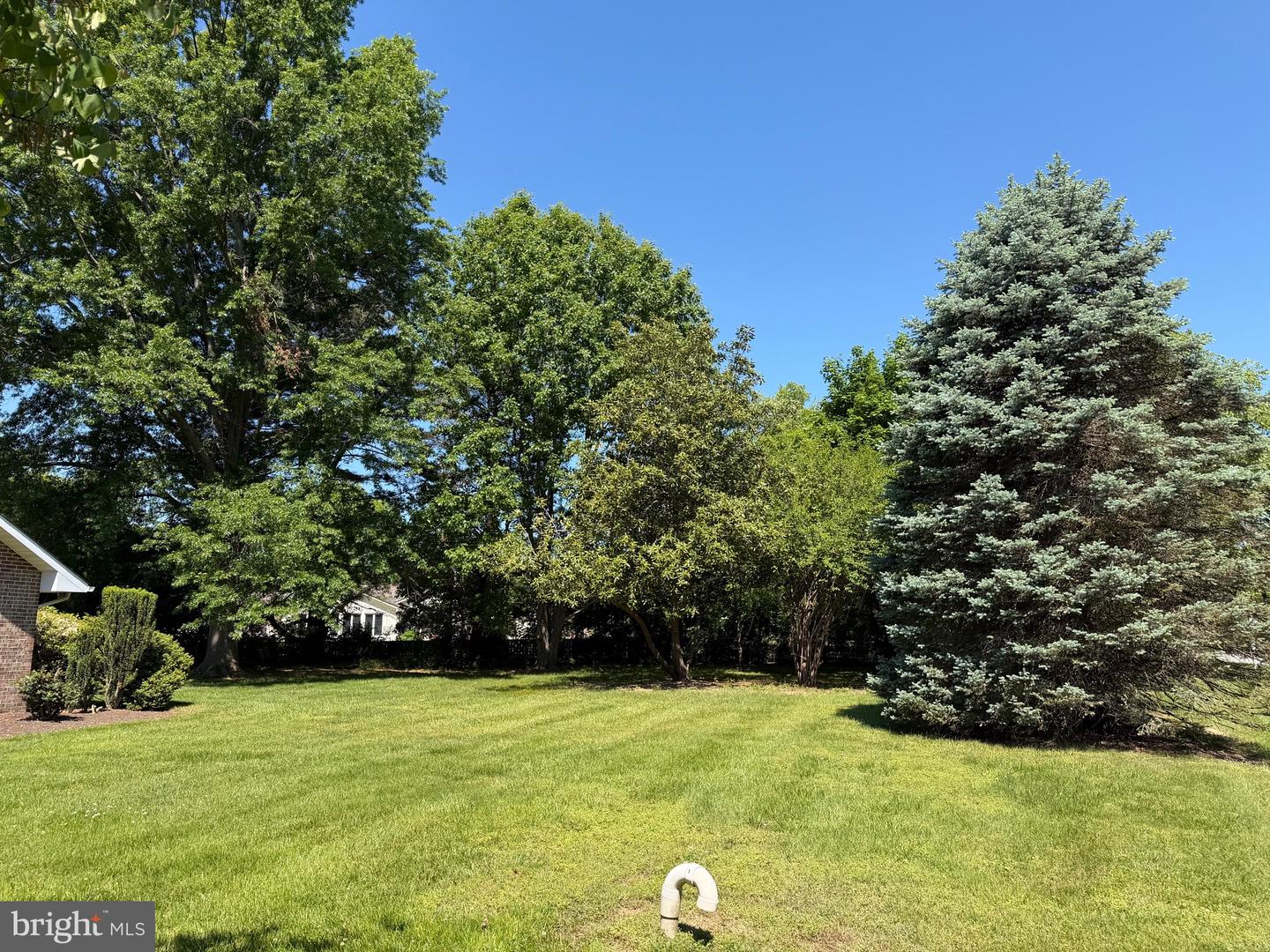 24555 Deepwater Point Property Photo 7