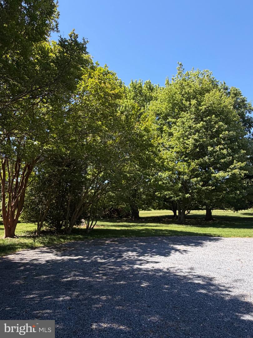 24555 Deepwater Point Property Photo 8