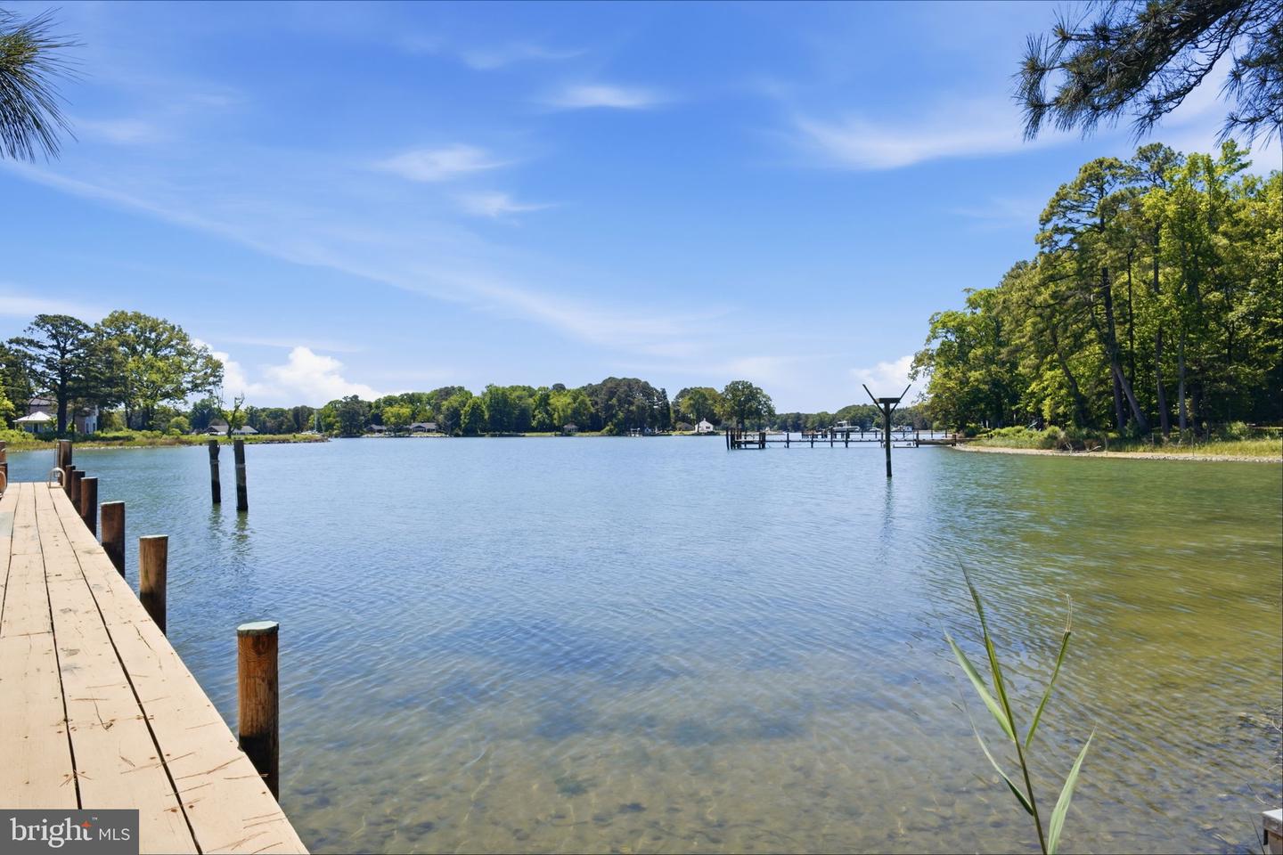 8209 Tricefield Property Photo 47
