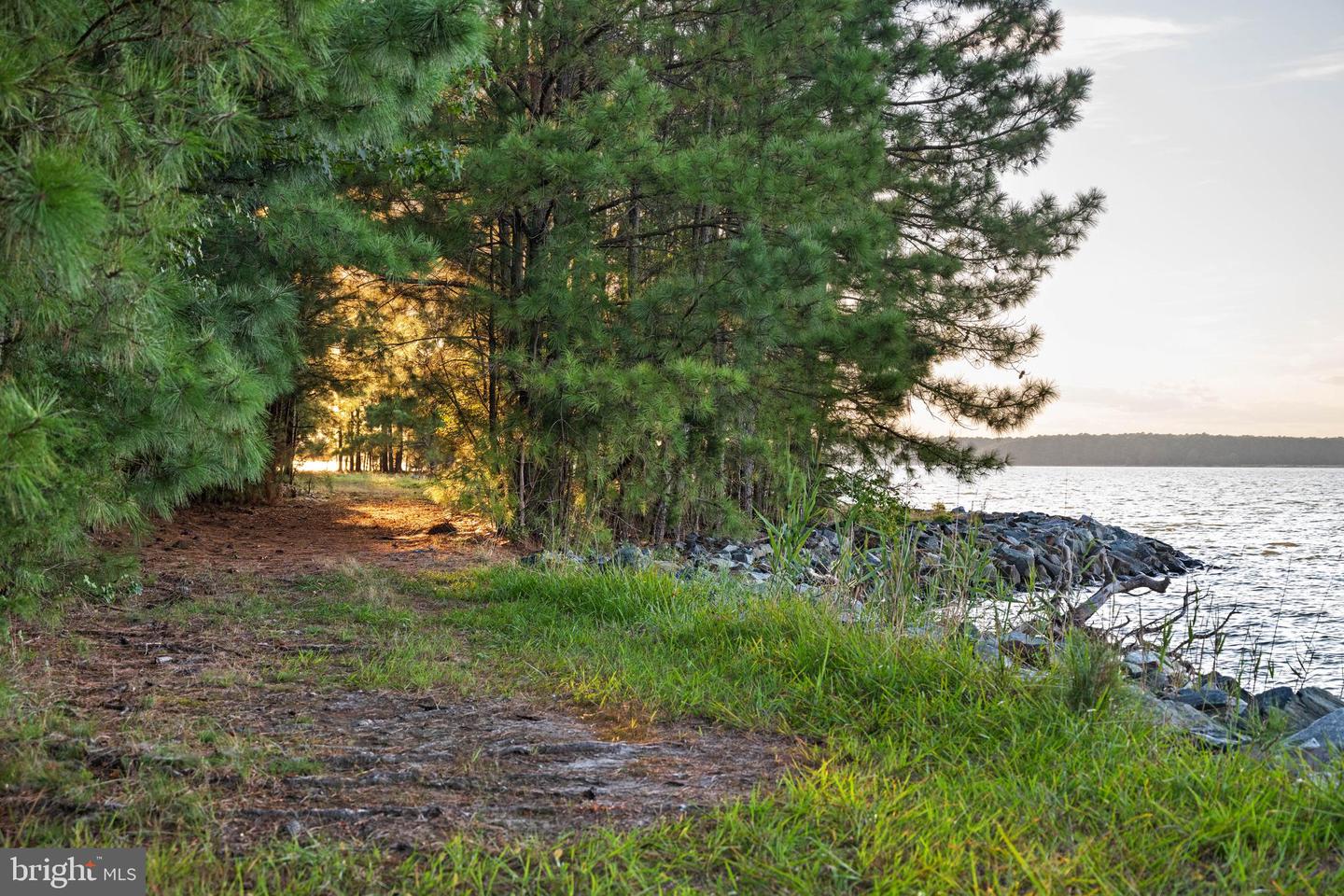 24390 Deep Neck Farm Ln Property Photo 101