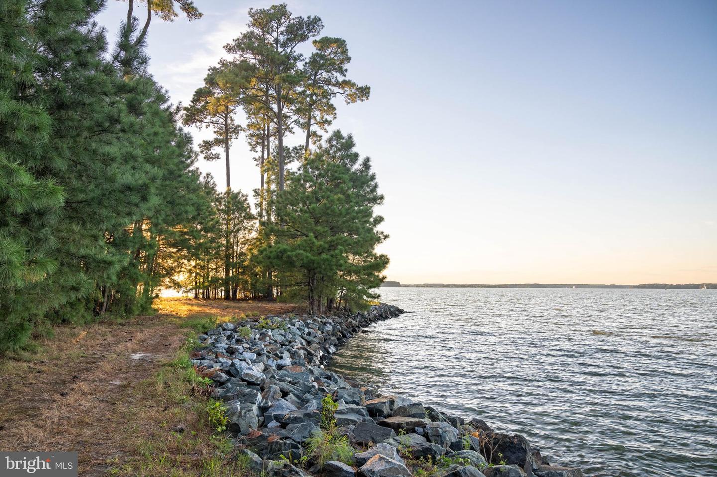 24390 Deep Neck Farm Ln Property Photo 103