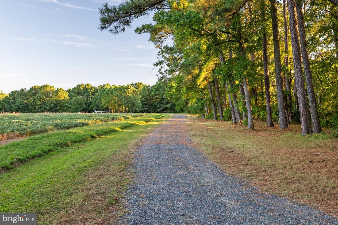 24390 Deep Neck Farm Ln Property Photo 105