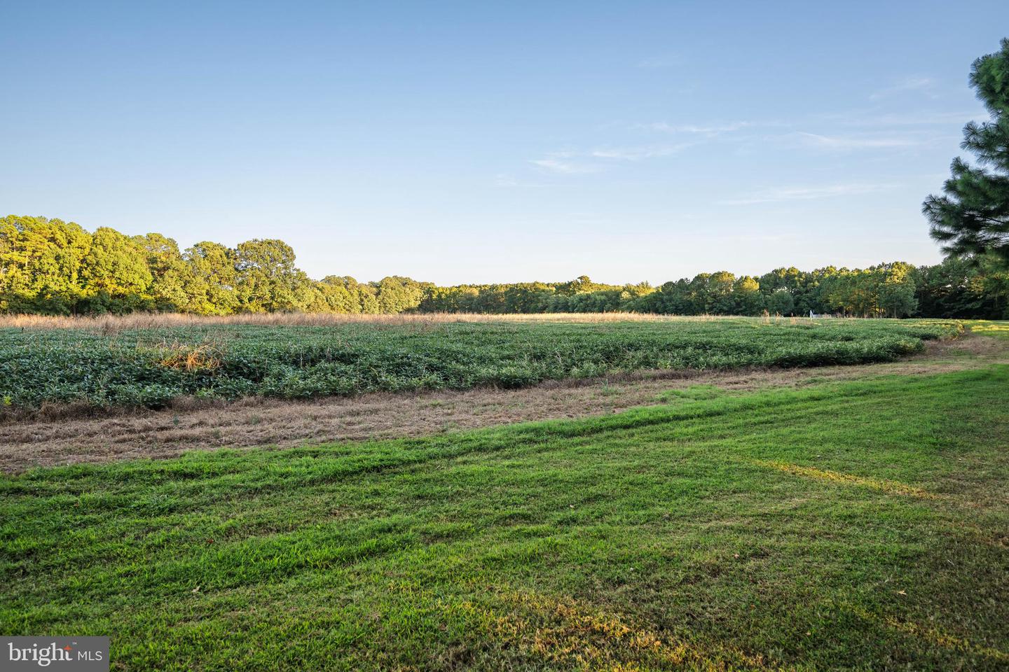 24390 Deep Neck Farm Ln Property Photo 106