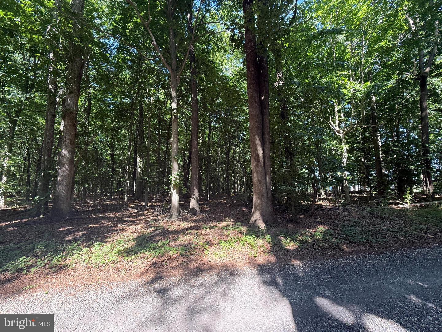 Church Ln Property Photo 1