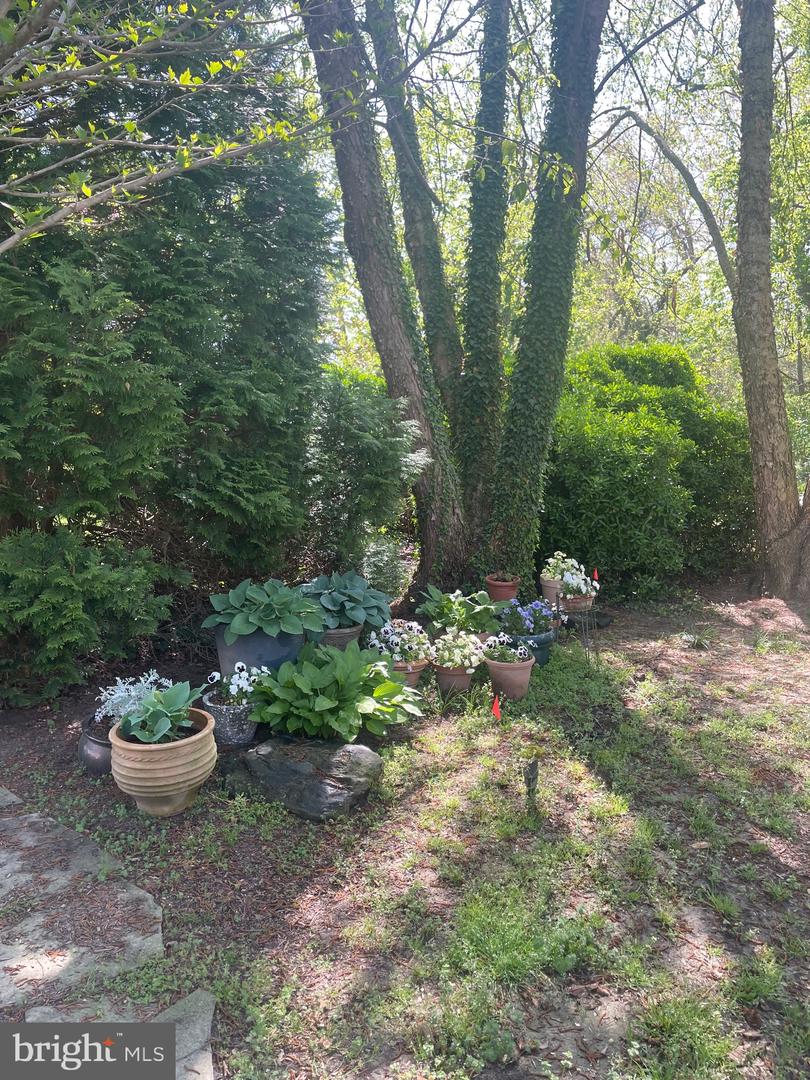 31720 Ayres Dr Property Photo 115