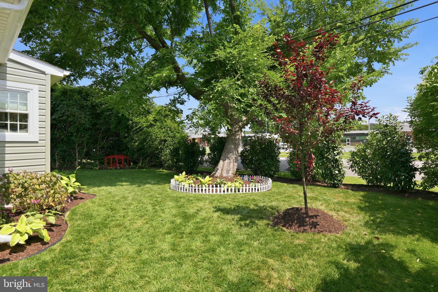 803 New Ln Property Photo 4