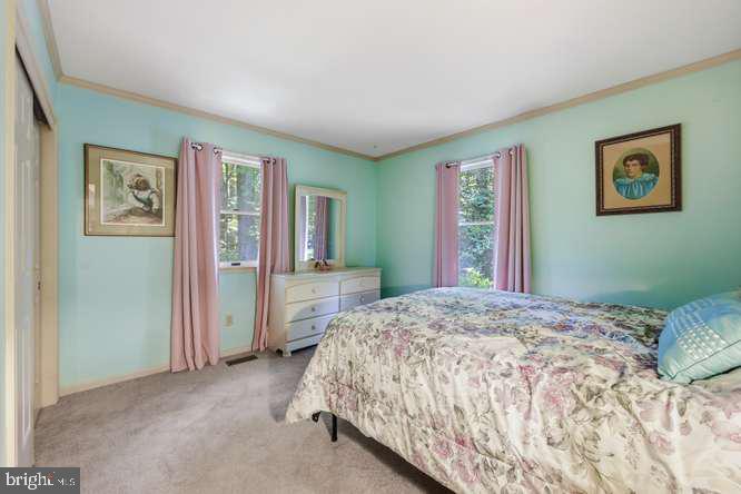 11598 Malvern Ln Property Photo 17