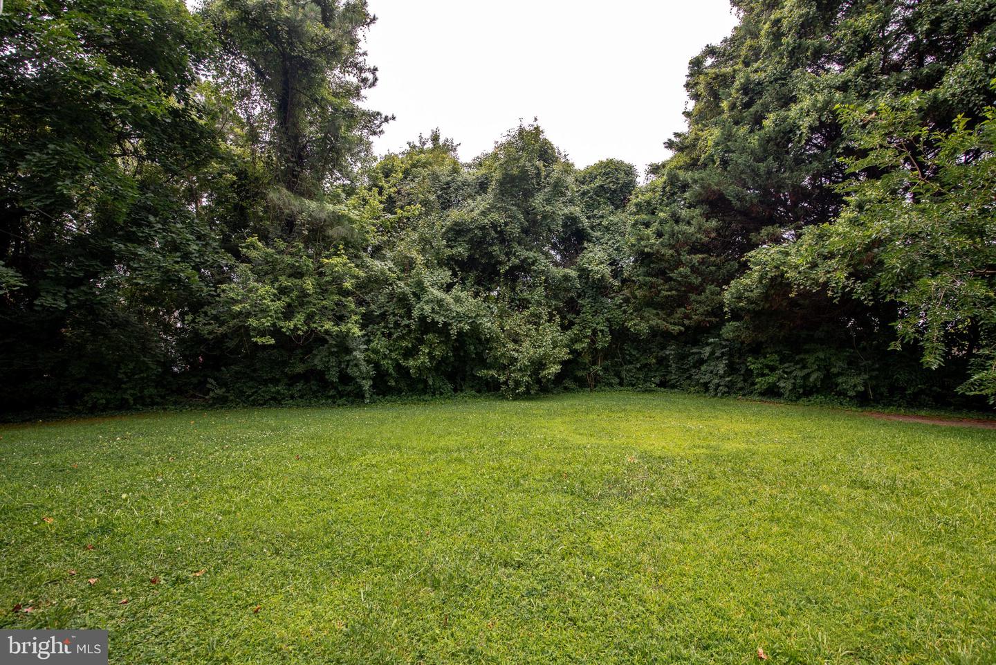 317 Choptank Ave Property Photo 15