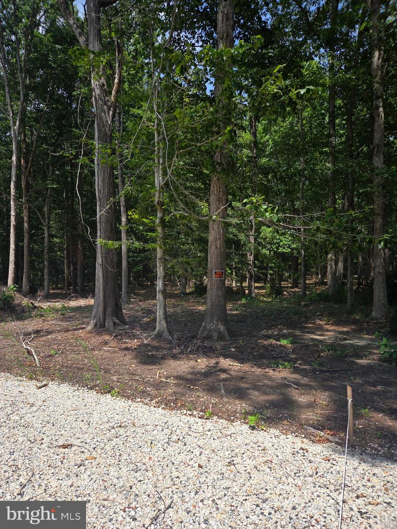 Almshouse ( Lot 2) Rd Property Photo 11