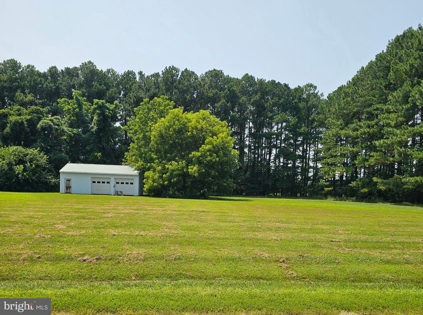 8386 Old Bloomfield Rd Property Photo 4