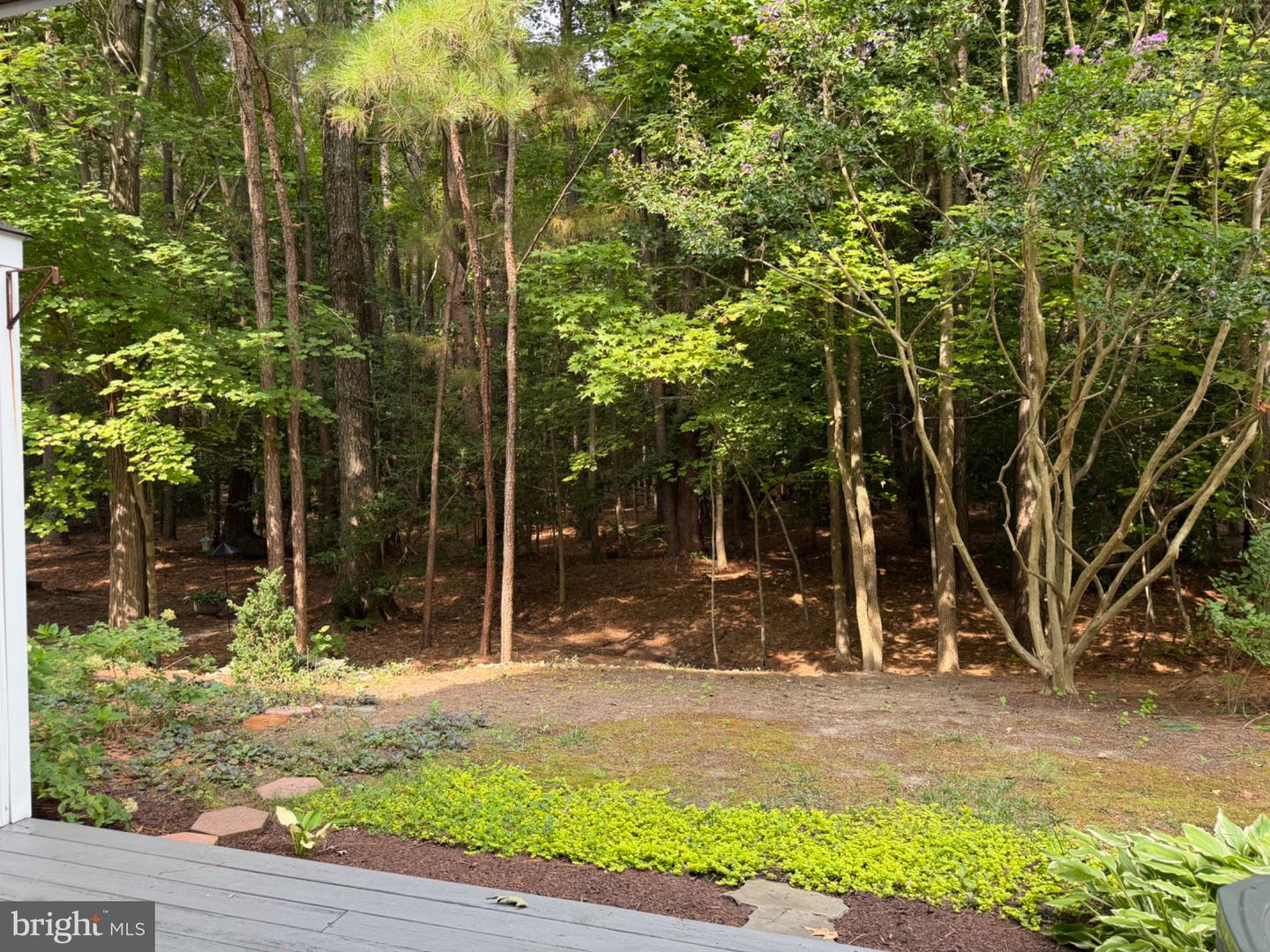 28461 Pinehurst Cir Property Photo 42