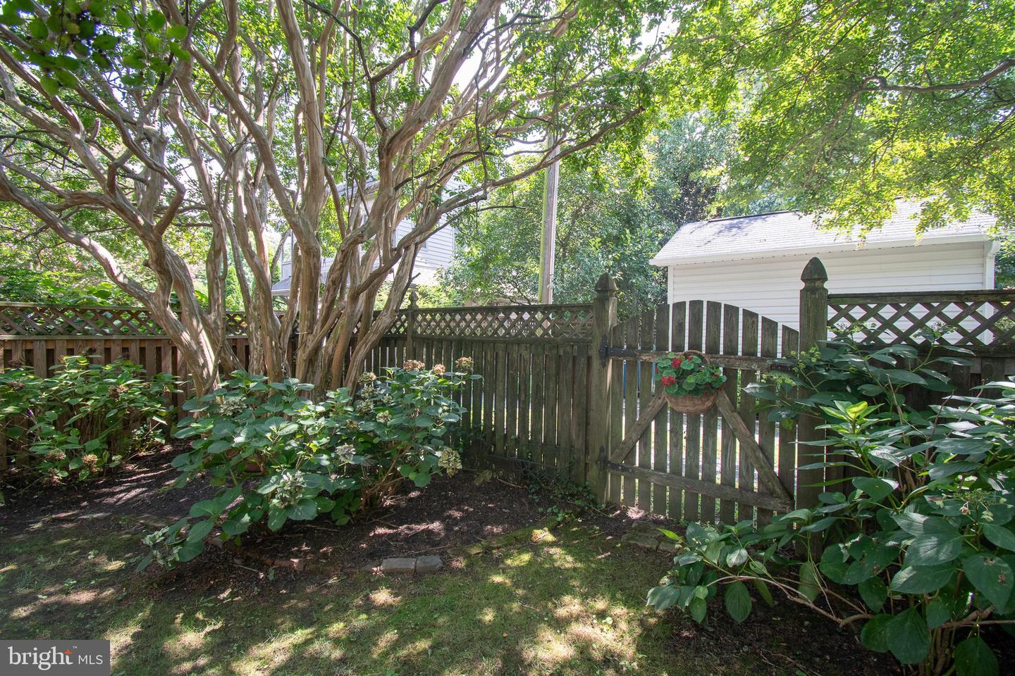 202 E Chestnut St Property Photo 43