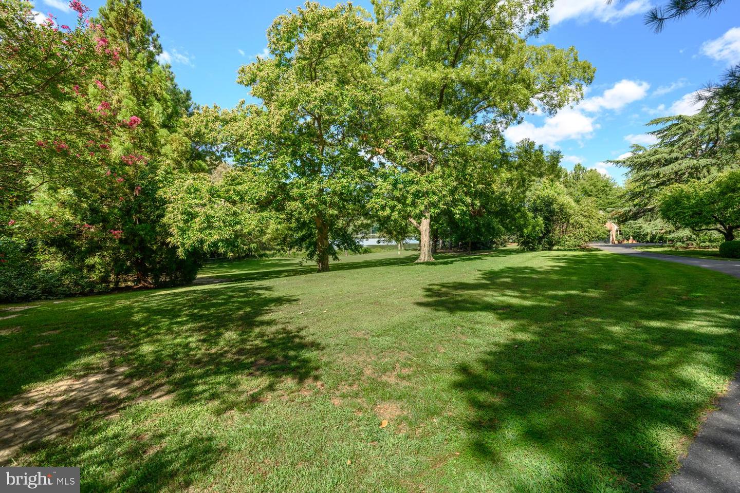 28161 Harleigh Ln Property Photo 64