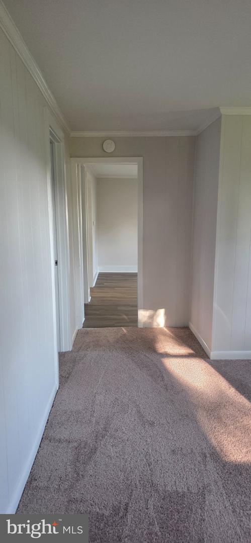 4070 Hennisee Ln Property Photo 16