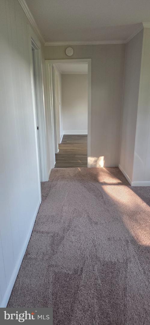 4070 Hennisee Ln Property Photo 17