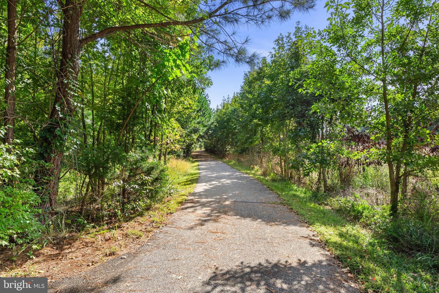 984 Ruscello Vista Ct. Property Photo 100