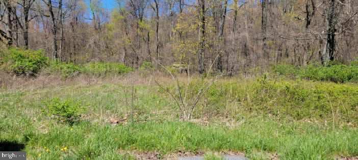 Pennersville Rd Property Photo