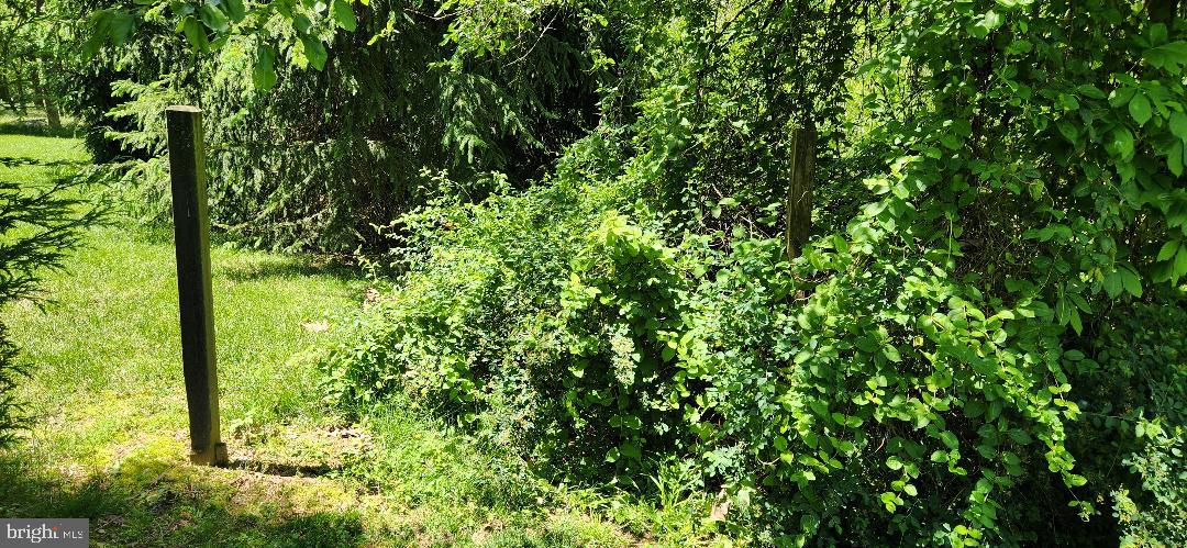 Little Antietam Rd Property Photo 2