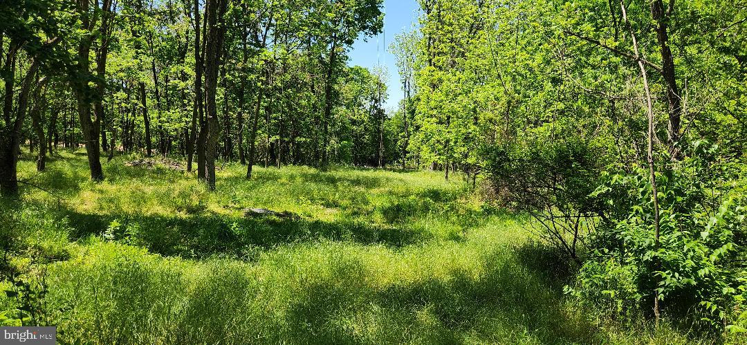 Little Antietam Rd Property Photo 3