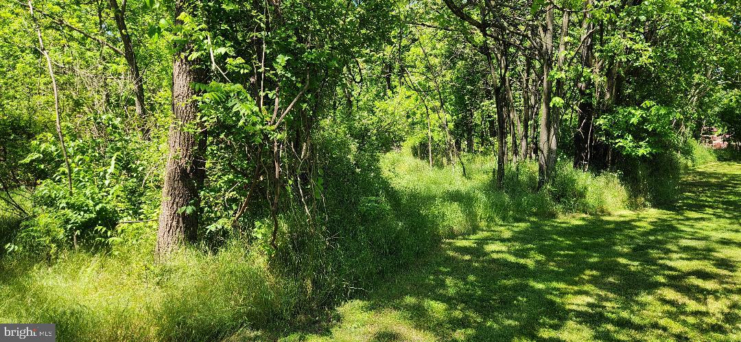 Little Antietam Rd Property Photo 4