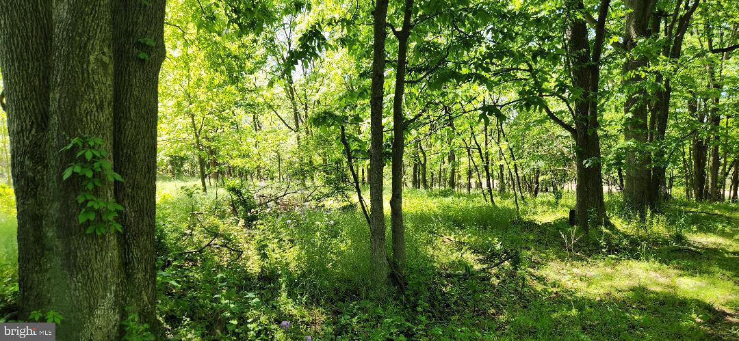 Little Antietam Rd Property Photo 5
