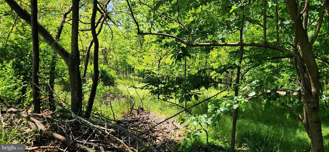 Little Antietam Rd Property Photo 6