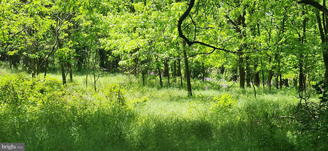 Little Antietam Rd Property Photo 7
