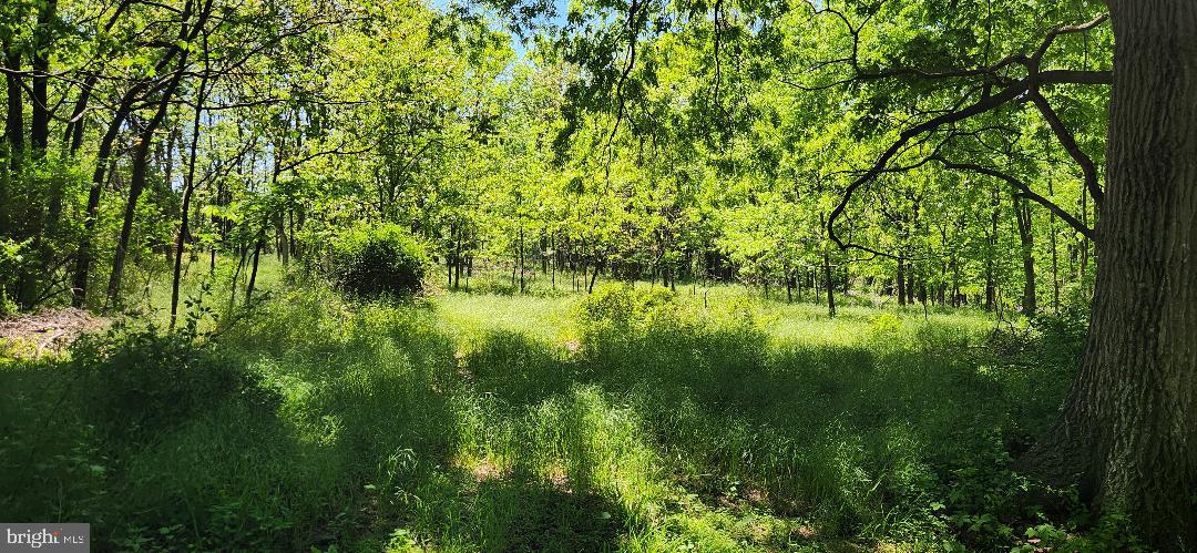 Little Antietam Rd Property Photo 8