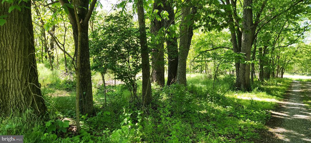 Little Antietam Rd Property Photo 9