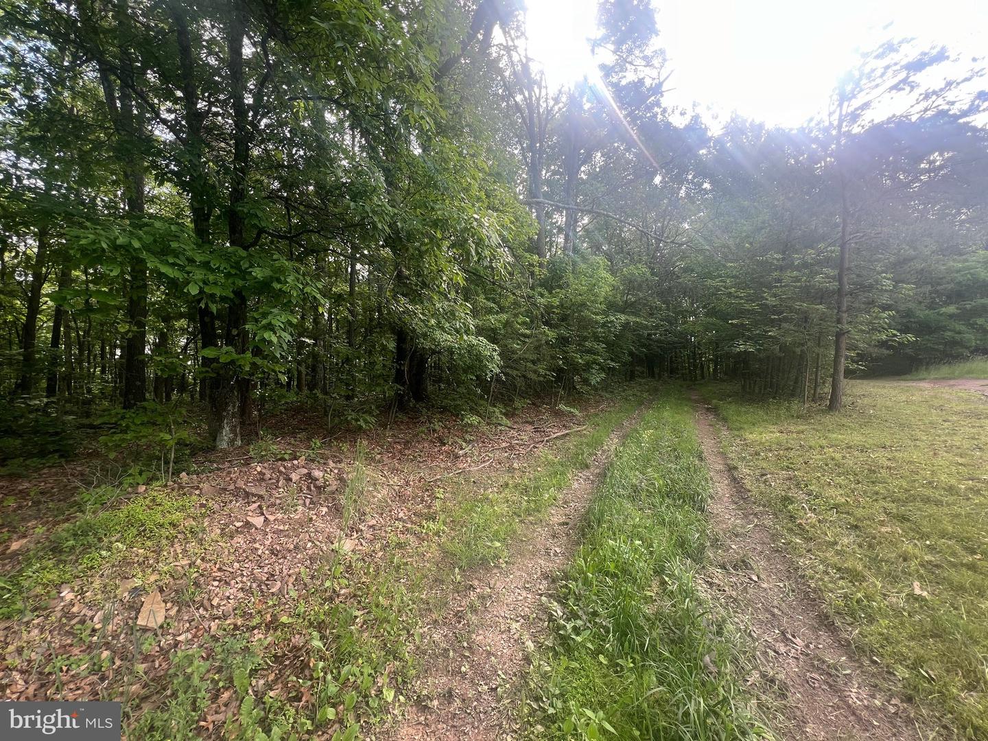 Exline Rd Property Photo 1