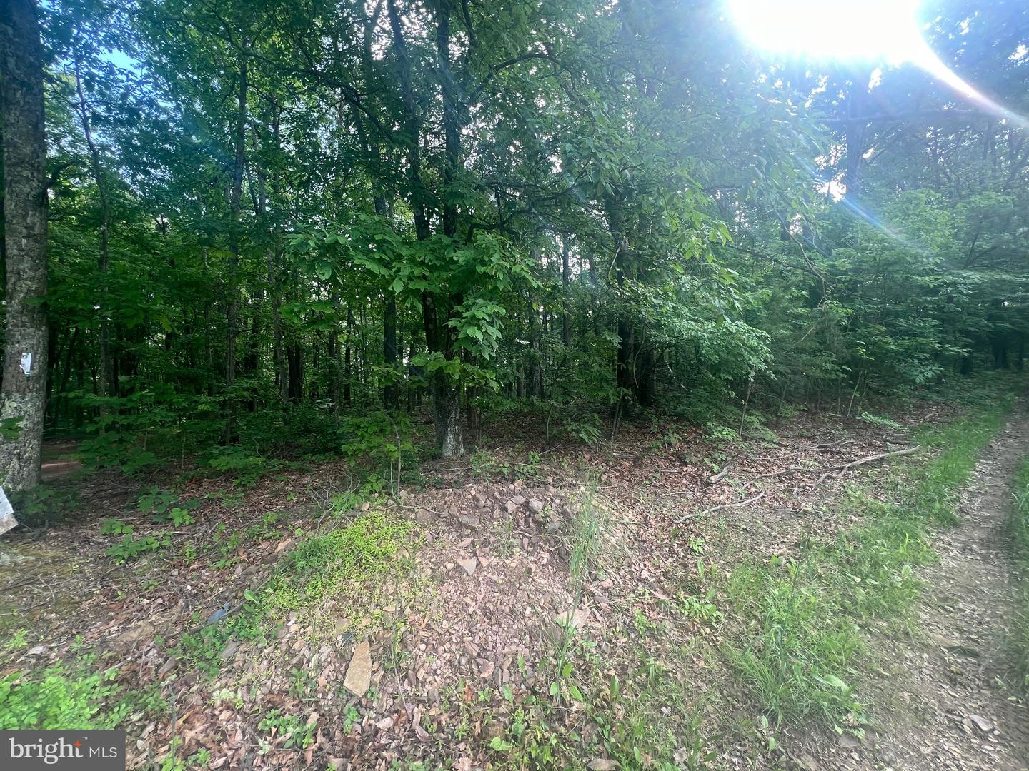 Exline Rd Property Photo 2