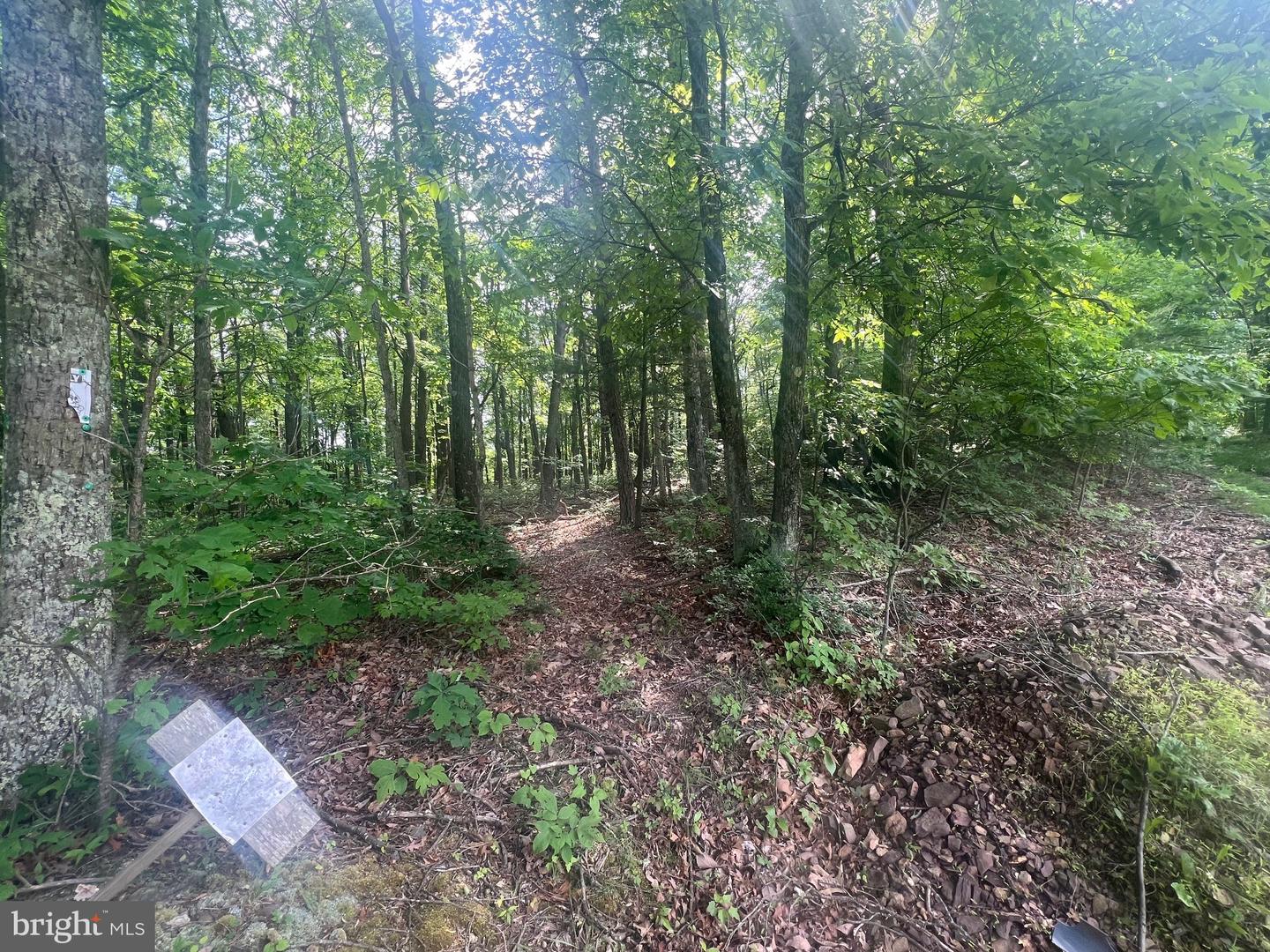 Exline Rd Property Photo 3