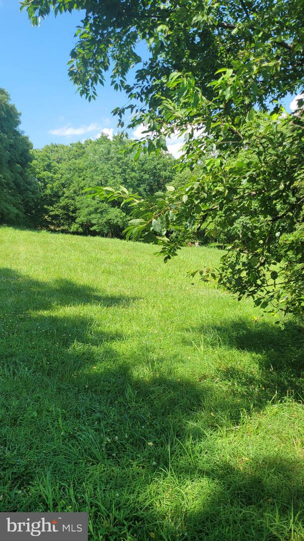 8325 Prophet Acres Rd Property Photo