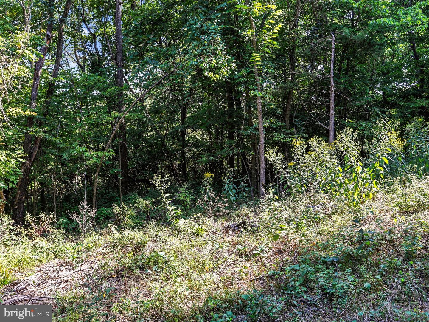 Antietam Dr Property Photo 4