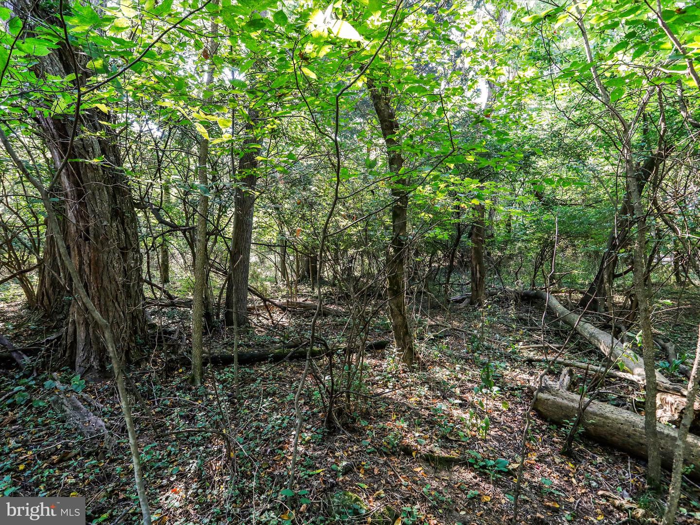 Antietam Dr Property Photo 6
