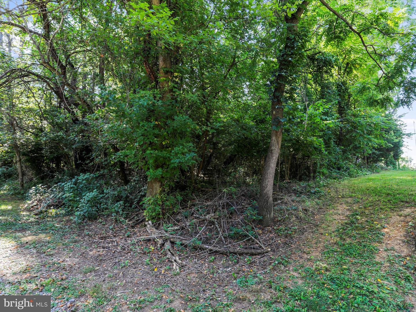 Antietam Dr Property Photo 7