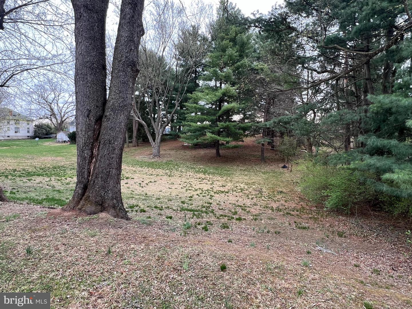 3 Oak Ridge Dr Property Photo 13
