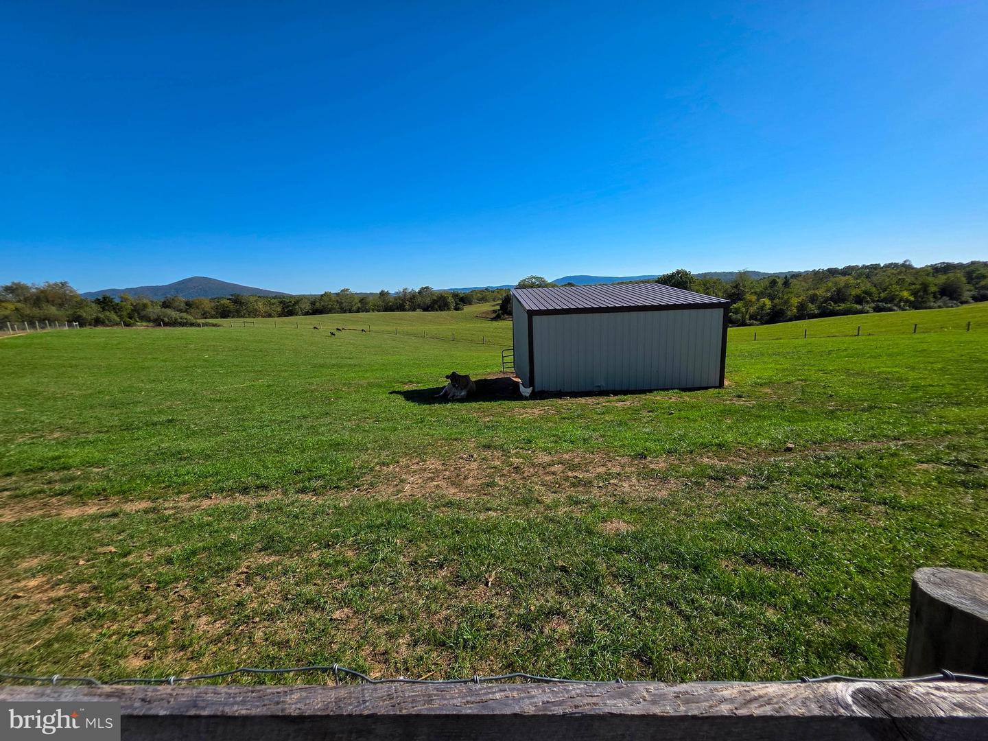 14637 Bain Rd Property Photo 59