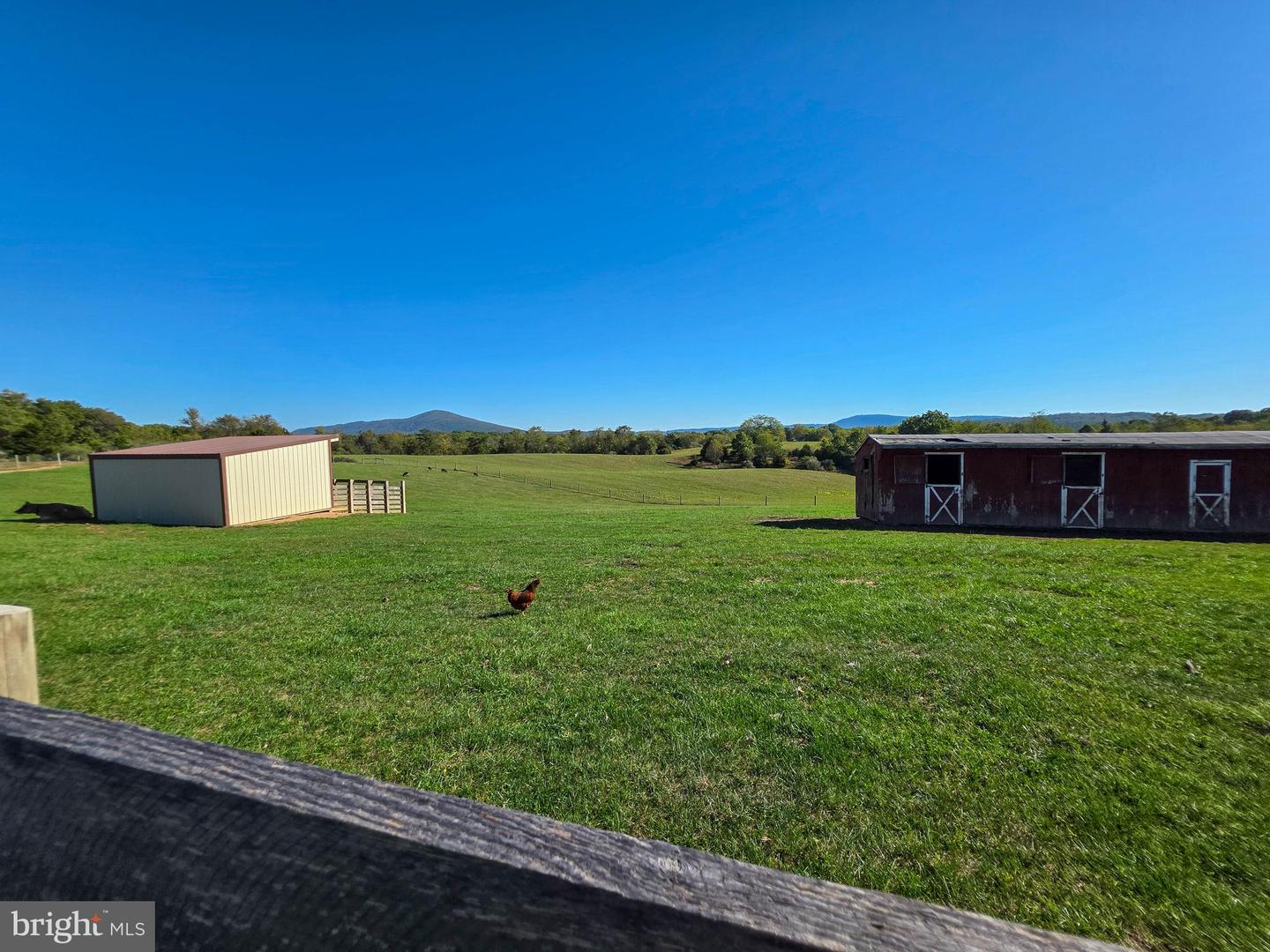 14637 Bain Rd Property Photo 65