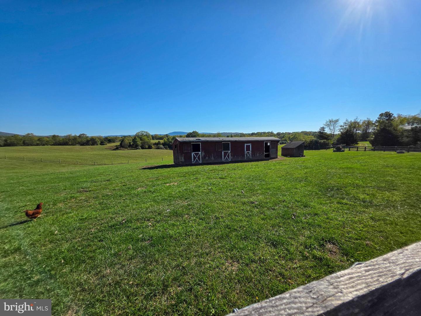 14637 Bain Rd Property Photo 66