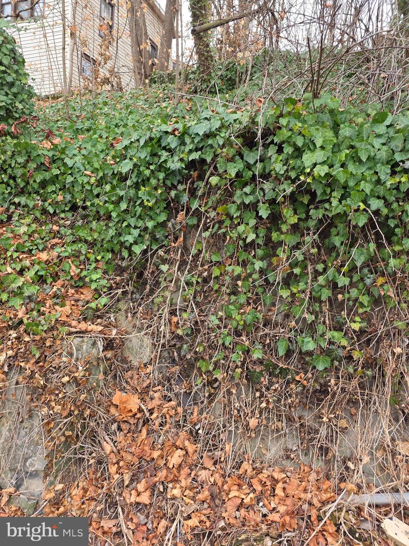Rockdale Rd Property Photo 3