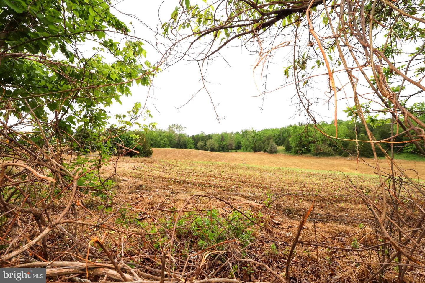 16919 Shaffer Rd Property Photo 67