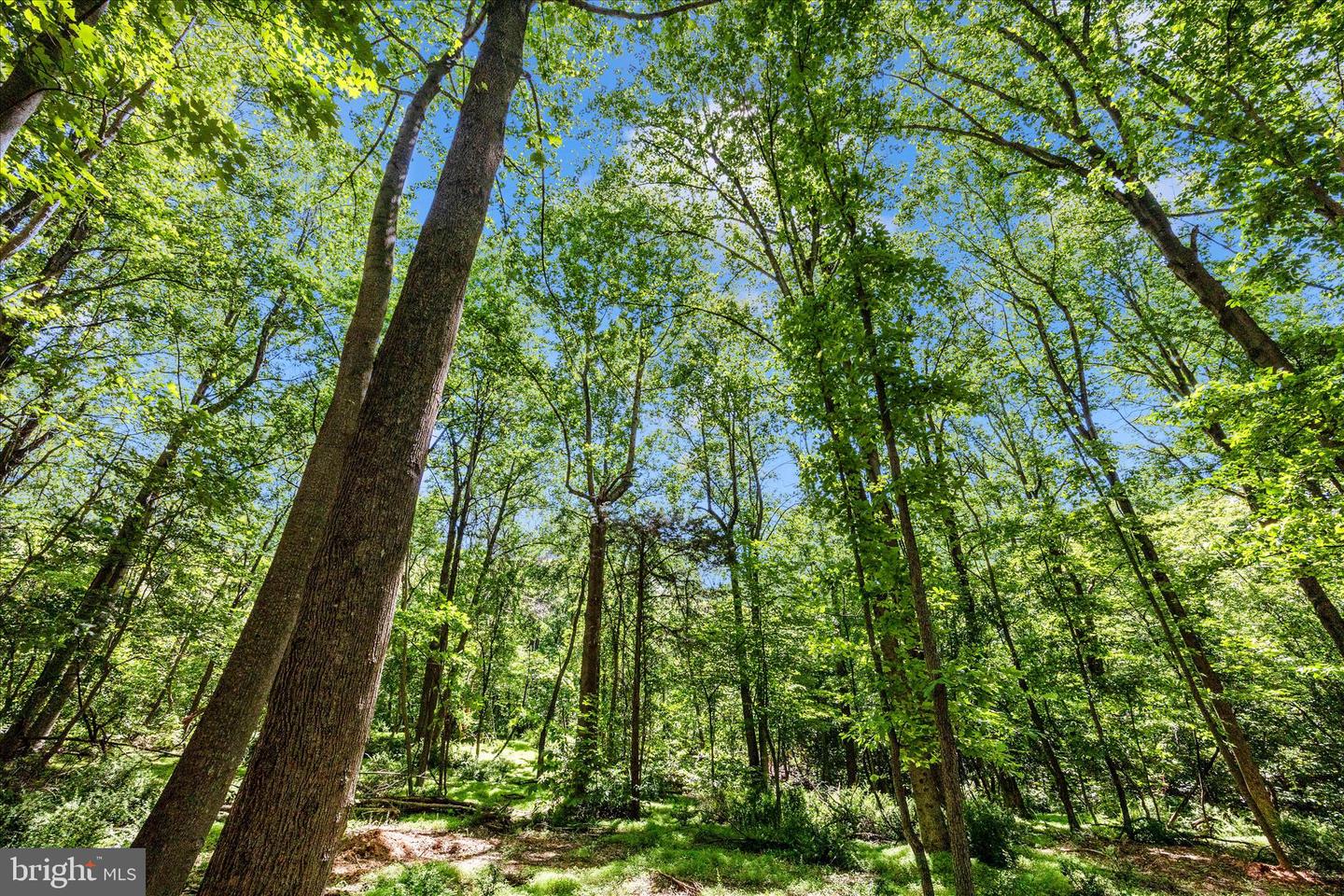 Harpers Ferry Road Property Photo 1