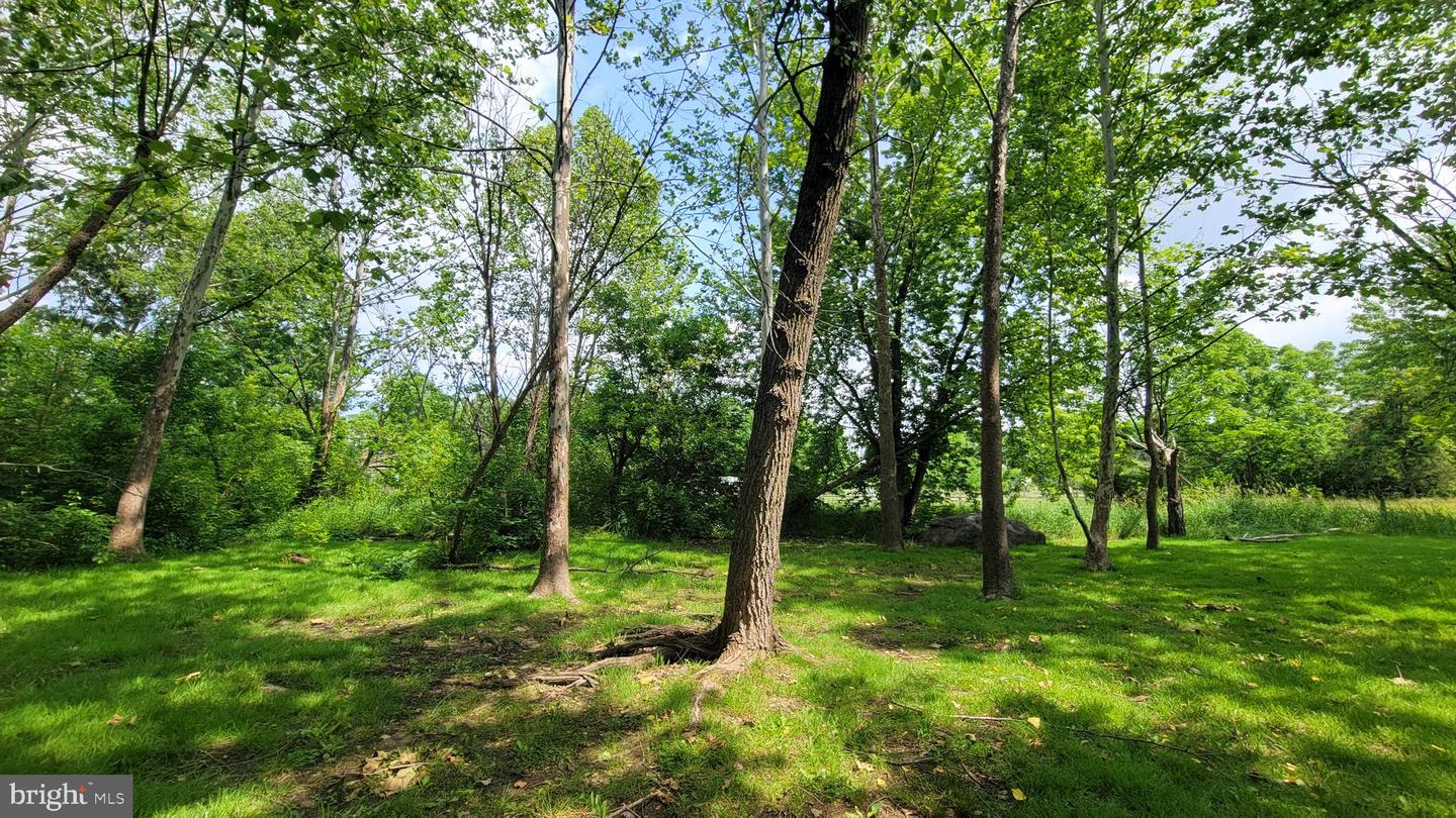 18024 Edith Ave Property Photo 25