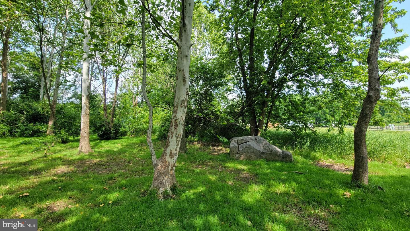 18024 Edith Ave Property Photo 27